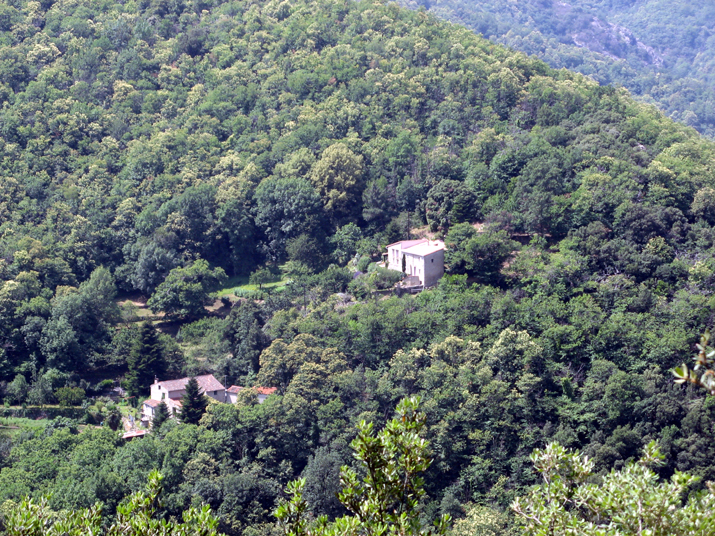 2007-07 Céret 015.jpg